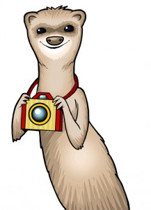 ispy photography games online
