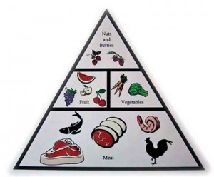 paleo diet recipes
